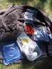 Picnic at Manning Park